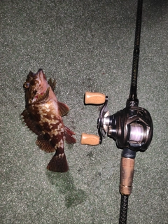 釣果