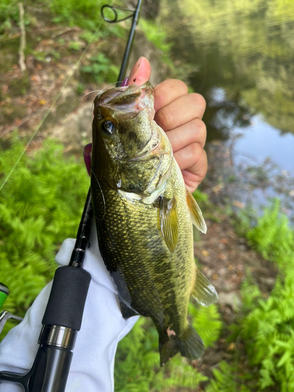 DAIWA 18ハートランド 722LRS-21の最安値・インプレ・釣果 | 本音の