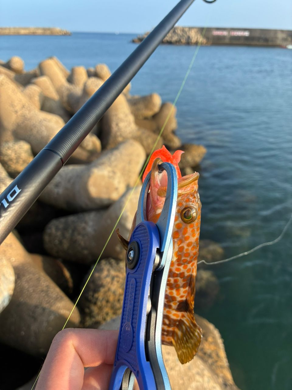 SHIMANO 19ヴァンキッシュ C3000MHGの最安値・インプレ・釣果 | 本音の