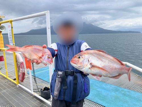 タイの釣果