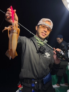 スルメイカの釣果