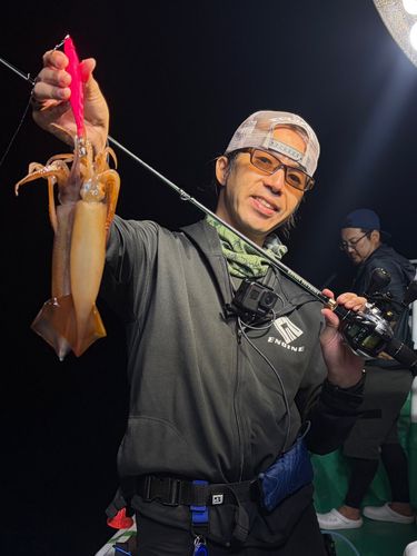 スルメイカの釣果