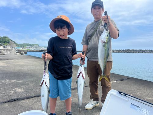 ワラサの釣果