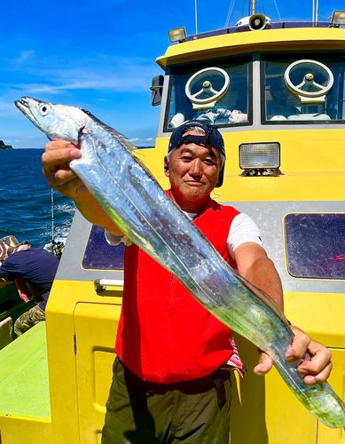 タチウオの釣果