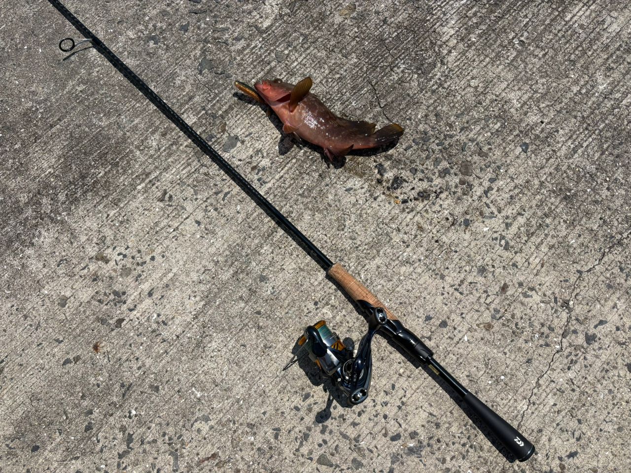 SHIMANO 19ソルティーアドバンス ROCKFISH B76Mの最安値・インプレ