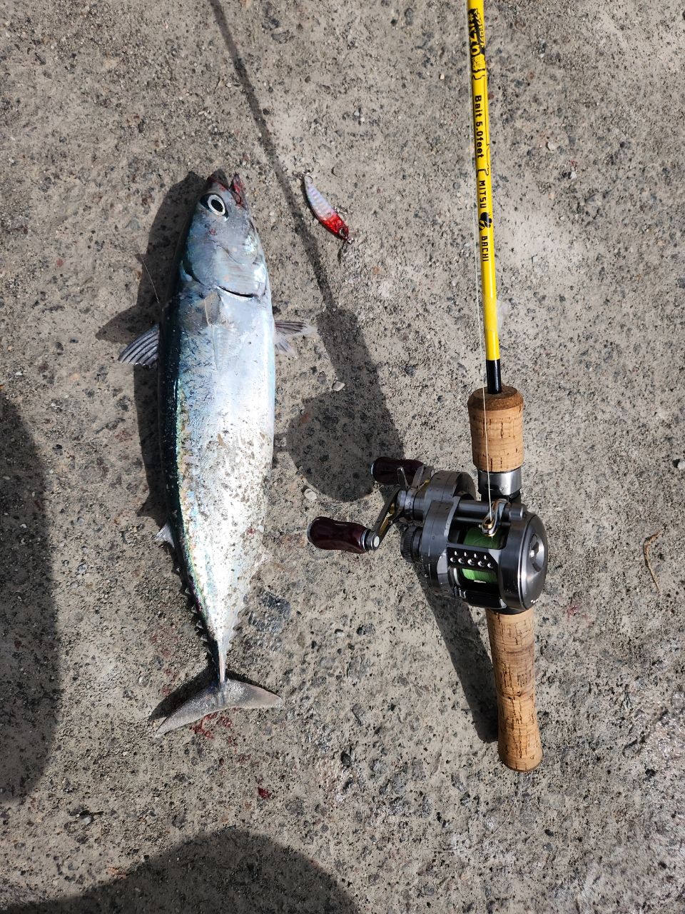 SHIMANO 23カルカッタコンクエスト BFS XG LEFTの最安値・インプレ