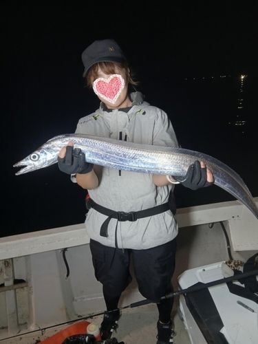 タチウオの釣果