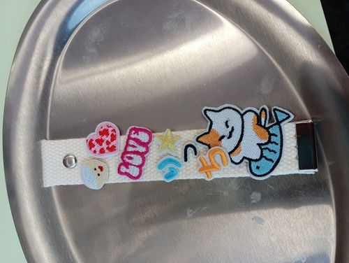 ネンブツダイの釣果