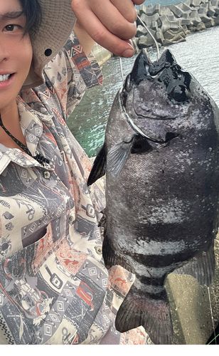 イシダイの釣果