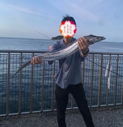 タチウオの釣果