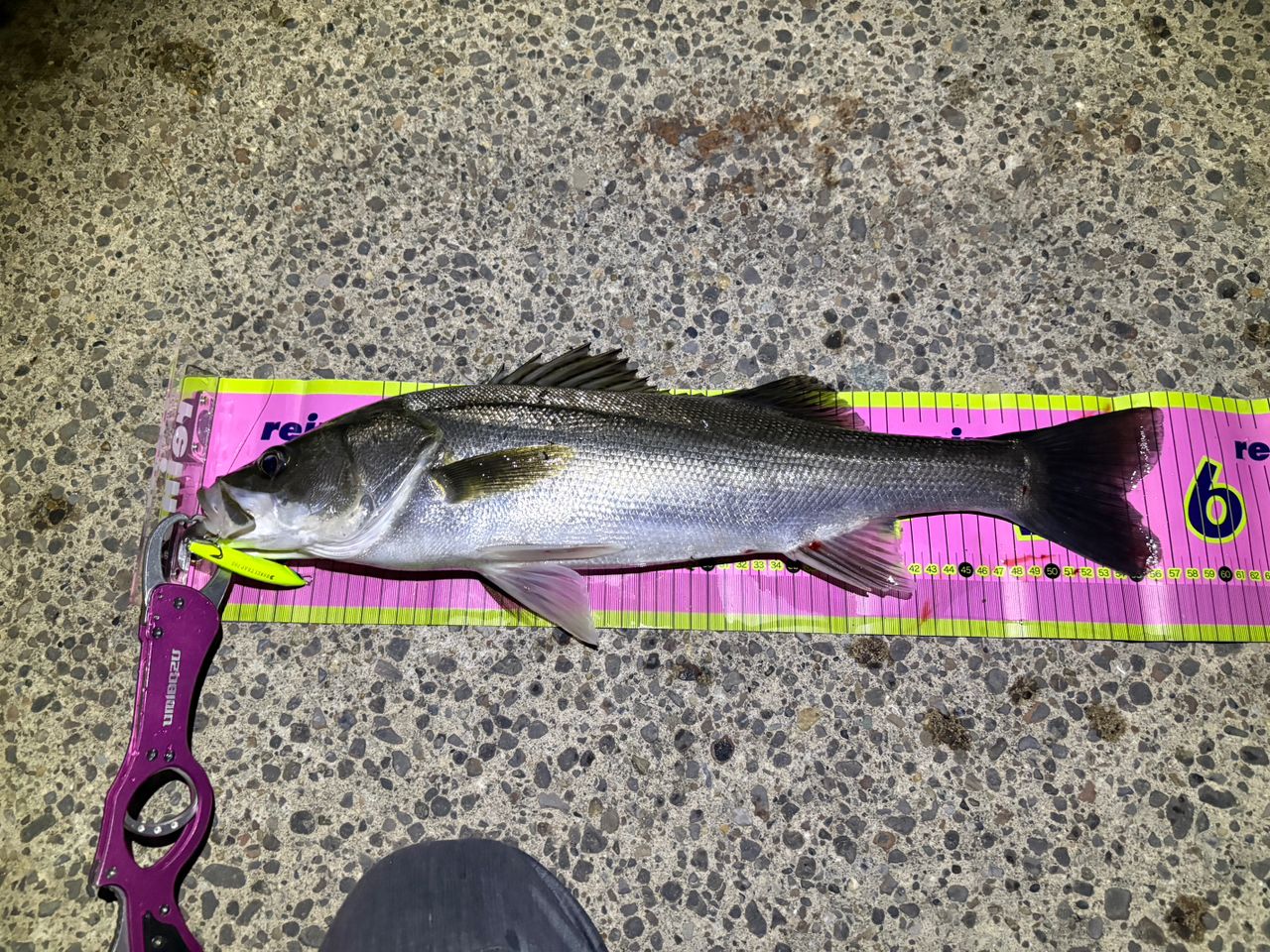 DAIWA 21モアザン ブランジーノ EX AGS 97ML/Mの最安値・インプレ