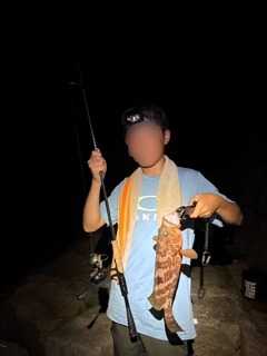 キジハタの釣果