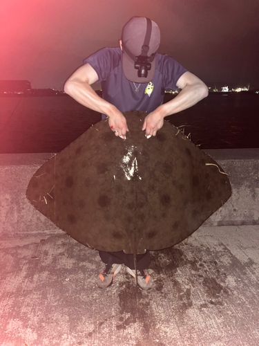 釣果
