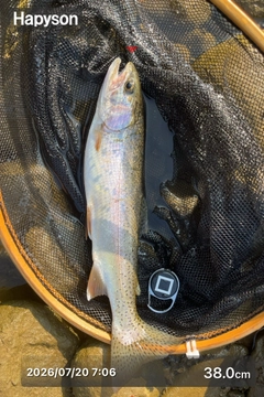 ニジマスの釣果