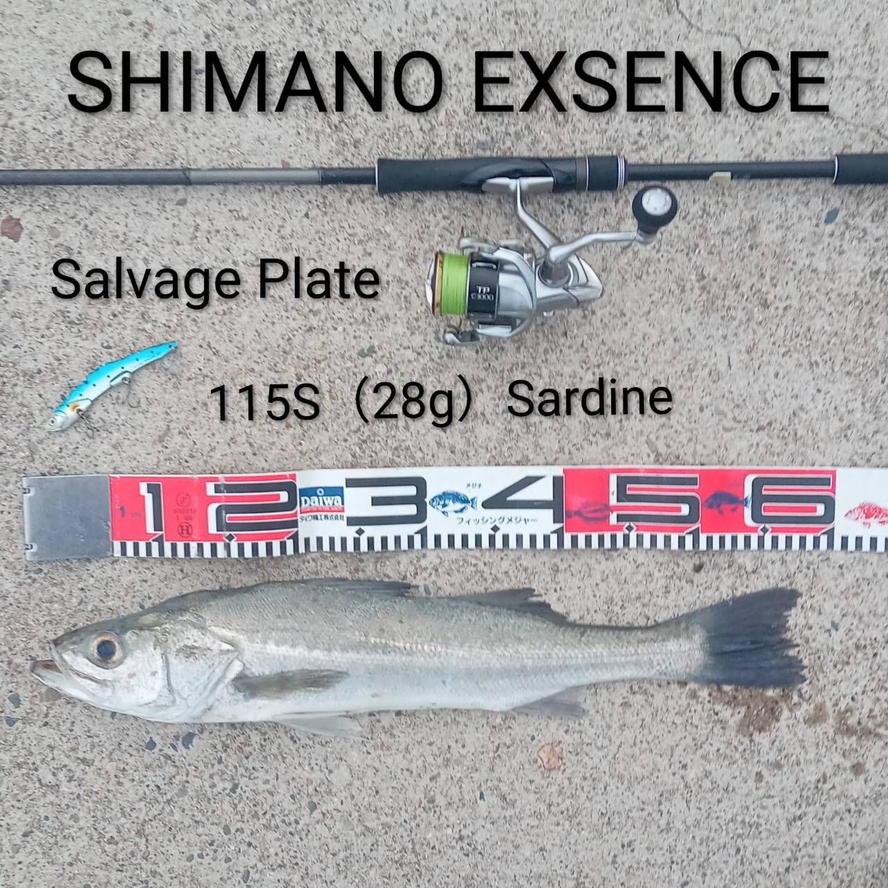 新品　SHIMANO 18ディアルーナ S96ML SHIMANO 18ディアルーナ S96MLの最安値・インプレ・釣果 | 本音の
