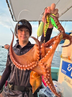 タコの釣果