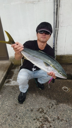 ワラサの釣果