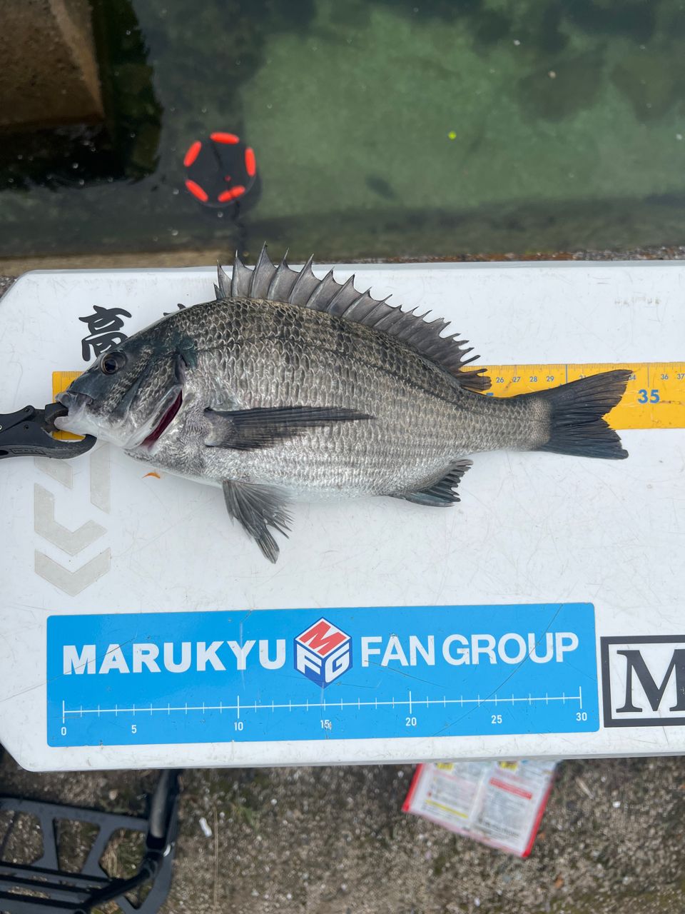 DAIWA 20銀狼王牙 AGS 1号-53・Rの最安値・インプレ・釣果 | 本音の