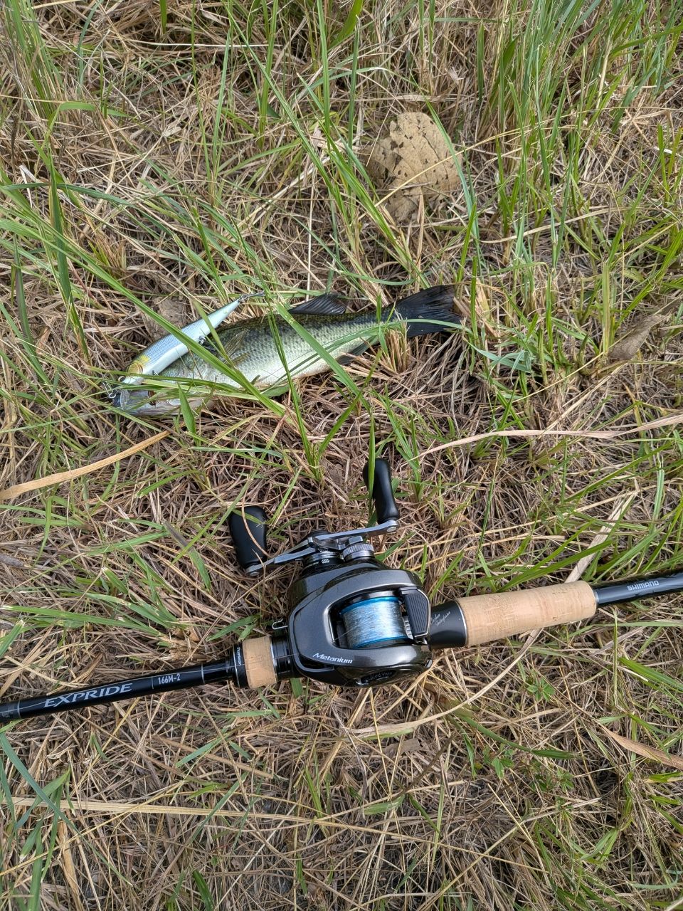 SHIMANO 22エクスプライド 166M-2の最安値・インプレ・釣果 | 本音の