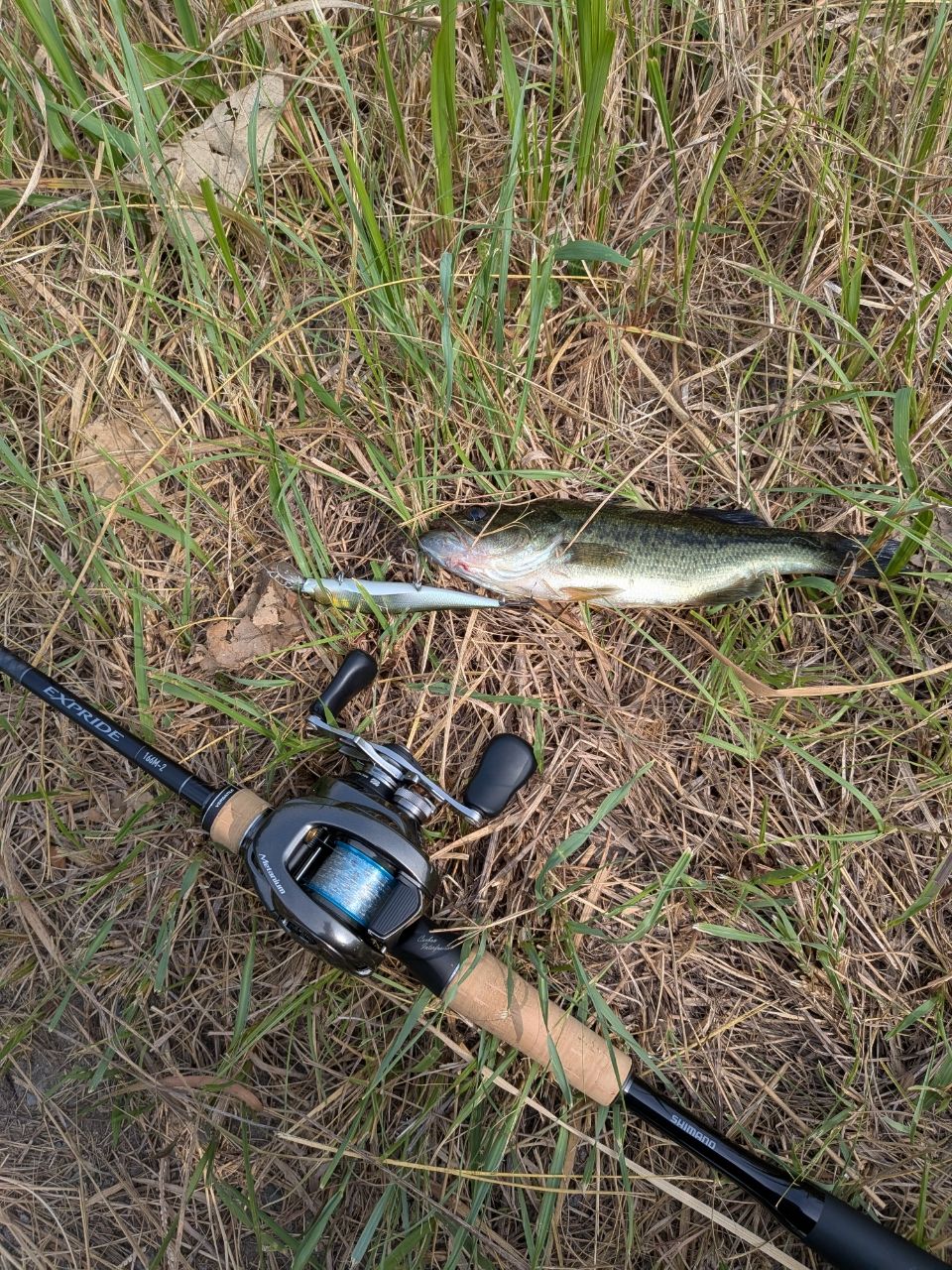 SHIMANO 22エクスプライド 166M-2の最安値・インプレ・釣果 | 本音の
