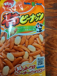 マナマズの釣果