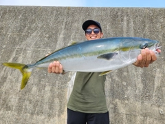 ワラサの釣果
