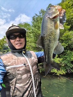 ブラックバスの釣果