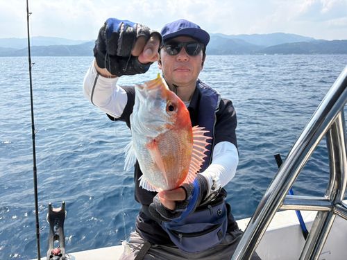レンコダイの釣果