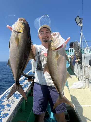 カンパチの釣果