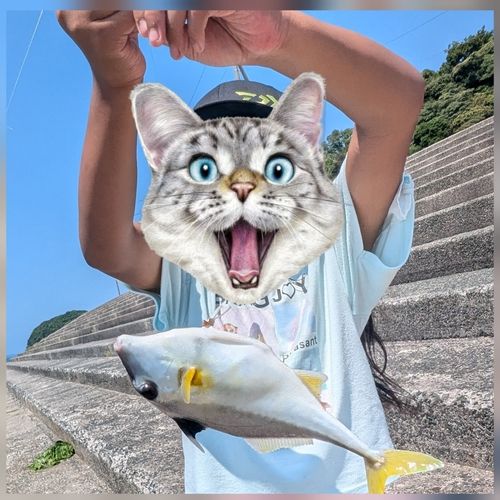 キスの釣果