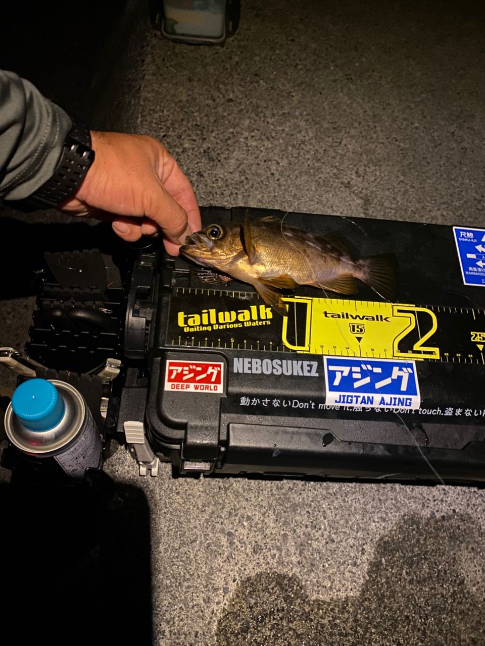 34 アドバンスメント DFR-511の最安値・インプレ・釣果 | 本音の口コミ