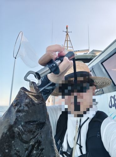 ヒラメの釣果