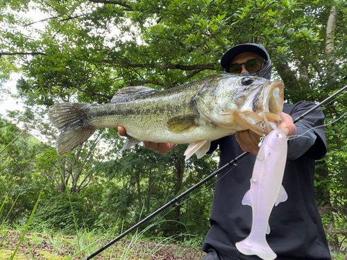 瀬戸内海で釣れたブラックバスの釣り・釣果情報 - アングラーズ | 釣果