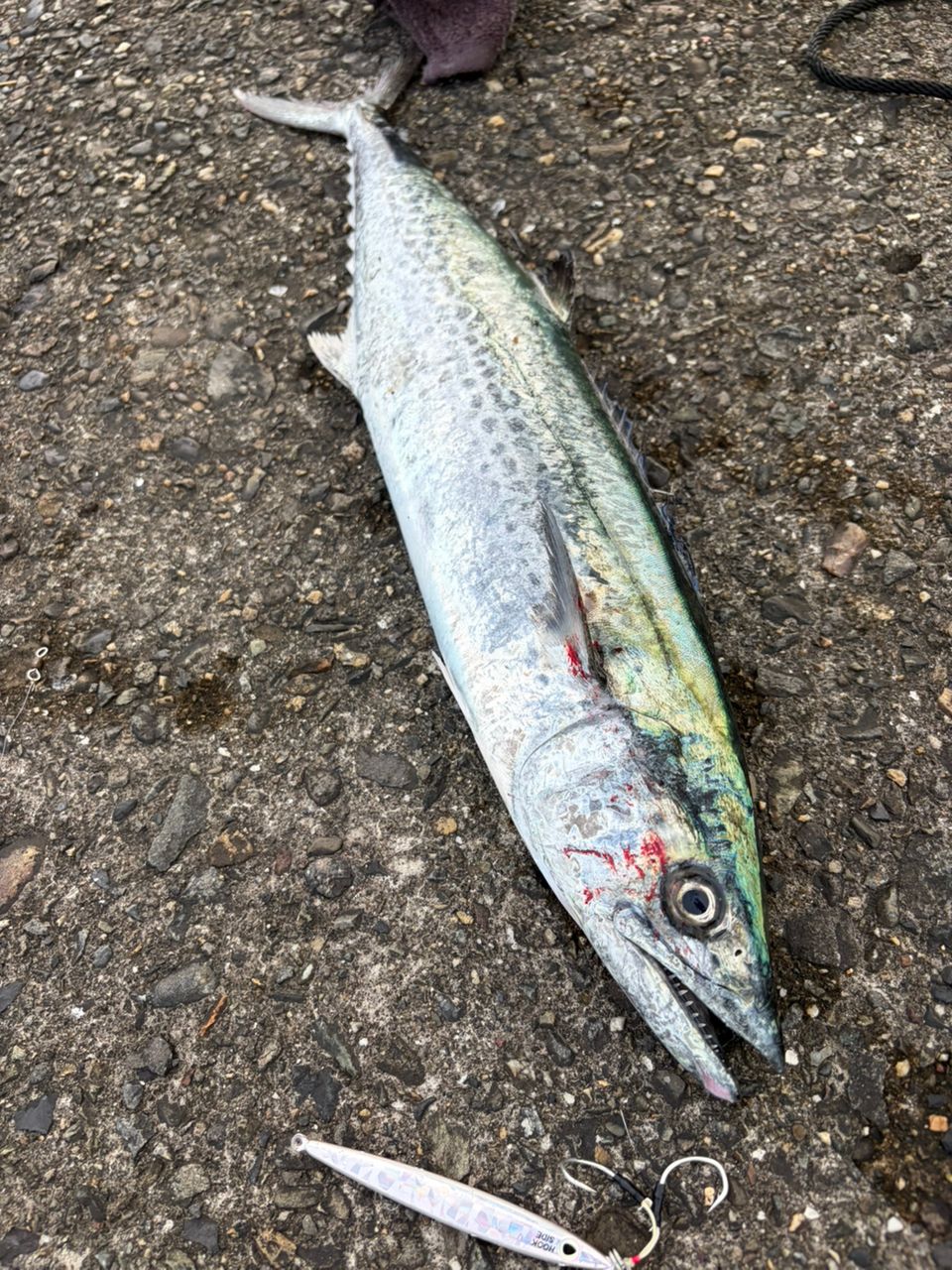 DAIWA 23レグザ LT5000-CXHの最安値・インプレ・釣果 | 本音の口コミが
