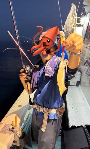 ケンサキイカの釣果