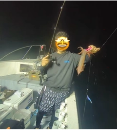 ケンサキイカの釣果
