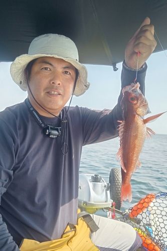 アカムツの釣果