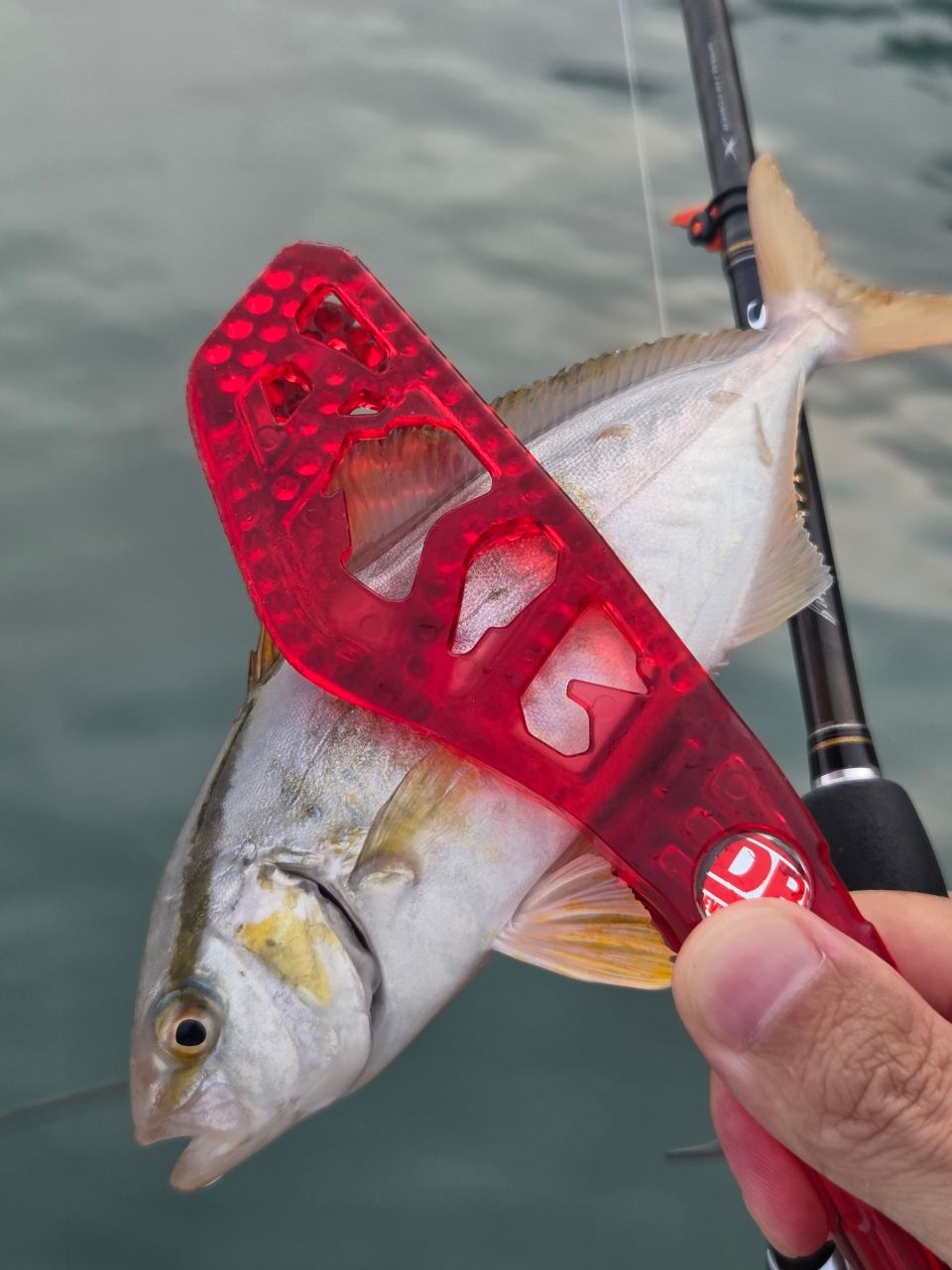 SHIMANO 17ソアレ CI4+ アジング S608UL-Sの最安値・インプレ・釣果