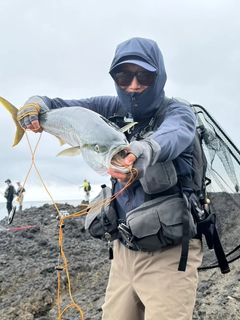 ワラサの釣果
