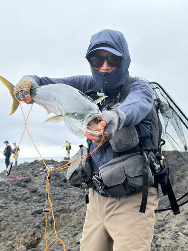 ワラサの釣果