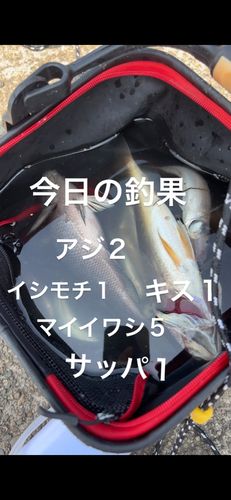 釣果