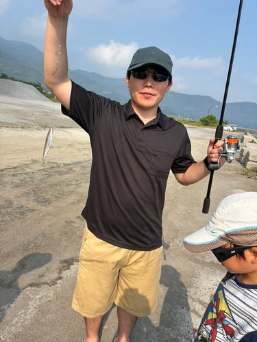 シロギスの釣果