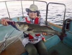 シーバスの釣果