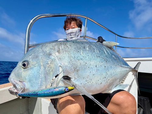 ロウニンアジの釣果