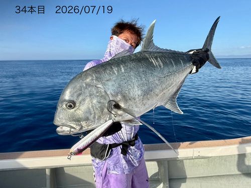 ロウニンアジの釣果