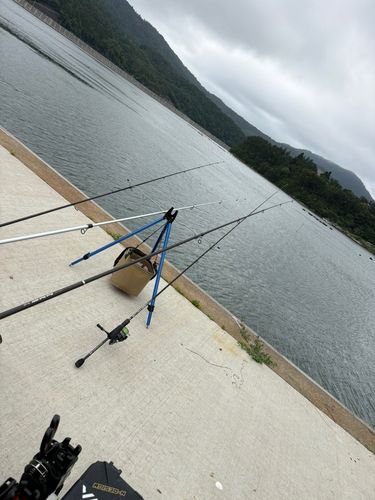 釣果