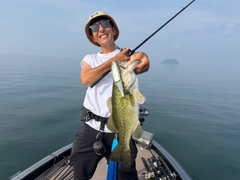ブラックバスの釣果