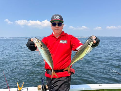 マアジの釣果