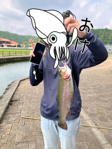 ニジマスの釣果