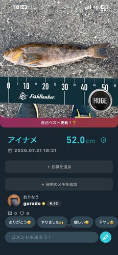 アイナメの釣果